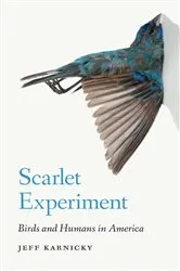 Book cover of Scarlet Experiment by Jeff Karnicky
