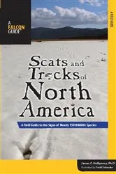 Book cover of Scats and Tracks of North America by James Halfpenny