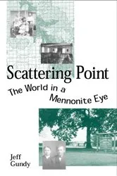 Book cover of Scattering Point by Unknown