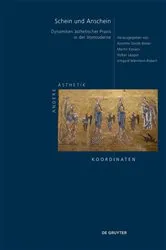 Book cover of Schein und Anschein by Annette Gerok-Reiter
