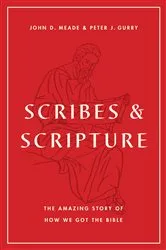 Book cover of Scribes and Scripture by John D. Meade