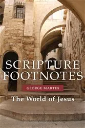 Book cover of Scripture Footnotes by George Martin