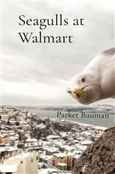 Book cover of Seagulls at Walmart by Unknown