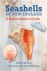 Book cover of Seashells of New England by J. Duane Sept