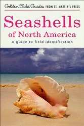 Book cover of Seashells of North America by Unknown