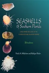 Book cover of Seashells of Southern Florida by Paula M. Mikkelsen