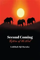 Book cover of Second Coming by D. B. Borton