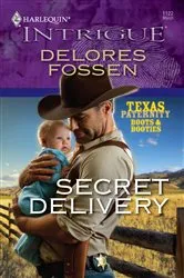 Book cover of Secret Delivery by Delores Fossen