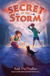 Book cover of Secret of the Storm by Beth McMullen