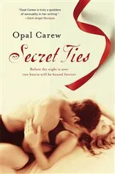 Book cover of Secret Ties by Opal Carew