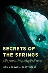 Book cover of Secrets of the Springs by Robin Brown