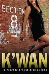 Book cover of Section 8 by K'wan
