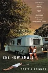 Book cover of See How Small by Scott Blackwood