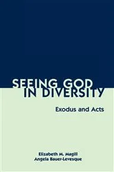 Book cover of Seeing God in Diversity by Angela Bauer-Levesque