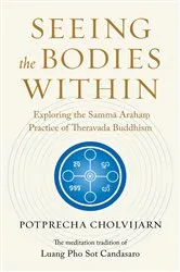 Book cover of Seeing the Bodies Within by Potprecha Cholvijarn