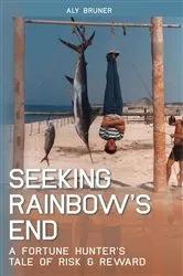 Book cover of Seeking Rainbow's End by Aly M Bruner