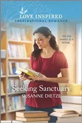 Book cover of Seeking Sanctuary by John Marnell