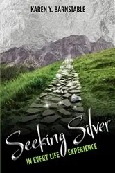 Book cover of Seeking Silver: by Karen Y Barnstable