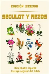 Book cover of Segulot Israel by Rab Yosef David Azulai
