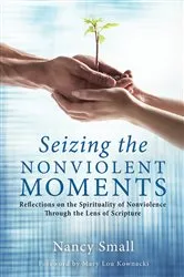 Book cover of Seizing the Nonviolent Moments by Nancy Small