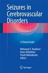 Book cover of Seizures in Cerebrovascular Disorders by Mohamad Z. Koubeissi