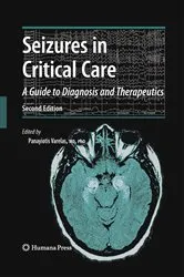 Book cover of Seizures in Critical Care (2nd ed.) by Unknown
