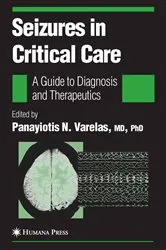 Book cover of Seizures in Critical Care by Panayiotis Varelas