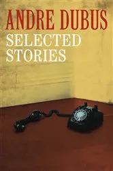 Book cover of Selected Stories by Éilís Ní Dhuibhne