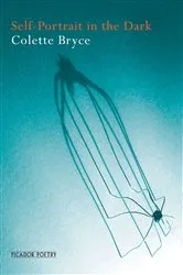 Book cover of Self-Portrait in the Dark by Colette Bryce