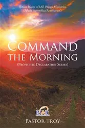 Book cover of Senior Pastor of IAR Bridge Ministries (Iglesia Apostolica Renovacion) by Pastor Troy