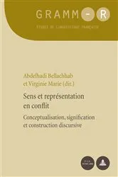 Book cover of Sens et représentation en conflit by Dan van Raemdonck