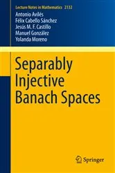 Book cover of Separably Injective Banach Spaces by Unknown