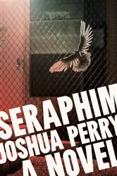 Book cover of Seraphim by Joshua Perry