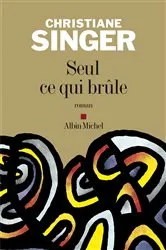 Book cover of Seul ce qui brûle by Christiane Singer