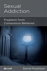 Book cover of Sexual Addiction by David Powlison