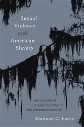 Book cover of Sexual Violence and American Slavery by Shannon Eaves