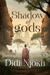 Book cover of Shadow of gods by Njoku Didi