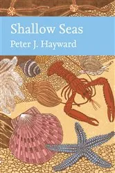 Book cover of Shallow Seas by Unknown