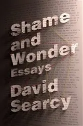 Book cover of Shame and Wonder by David Searcy