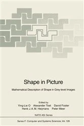 Book cover of Shape in Picture by Ying-Lie O