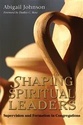Book cover of Shaping Spiritual Leaders by Abigail Johnson