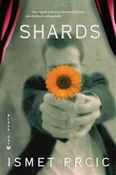 Book cover of Shards by James V. Viscosi