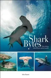 Book cover of Shark Bytes by John Bantin