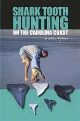 Book cover of Shark Tooth Hunting on the Carolina Coast by Ashley Oliphant