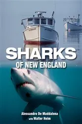 Book cover of Sharks of New England by Alessandrao De Maddalena