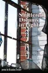 Book cover of Shattered Dreams in Light by Brandon Flesher