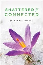 Book cover of Shattered to Connected by Jean M Mulloy PhD
