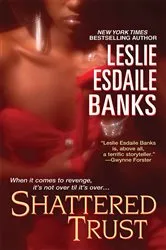 Book cover of SHATTERED TRUST by Ann E Alexander
