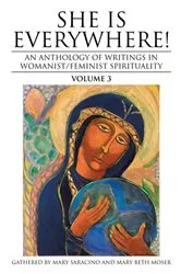 Book cover of She Is Everywhere! Volume 3 by Mary Beth Moser