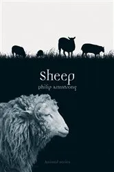 Book cover of Sheep by Philip Armstrong